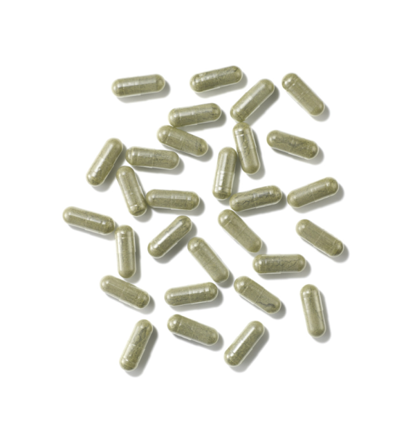 The Organic Pharmacy | Phytonutrients + MSM - Image 2