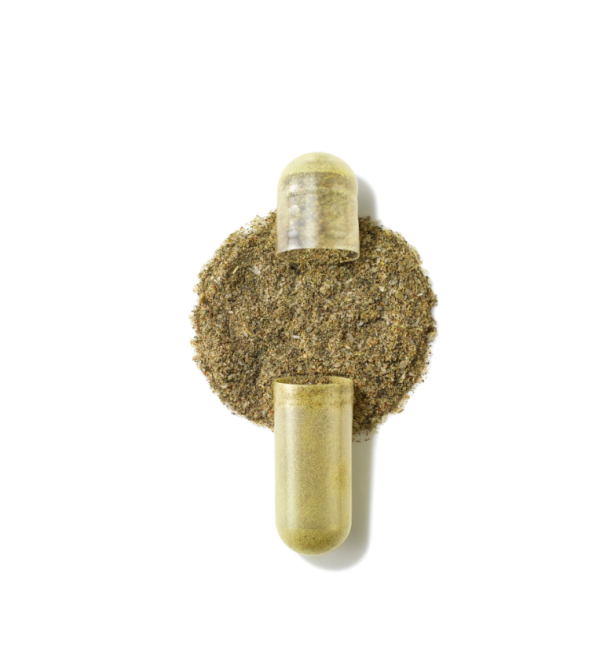 The Organic Pharmacy | Phytonutrients + MSM - Image 3