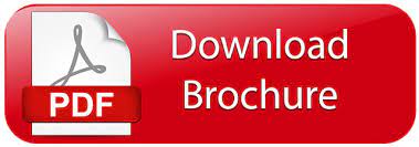 bt-sonic® - Sonic Cleansing System - Bio-Therapeutic brochure