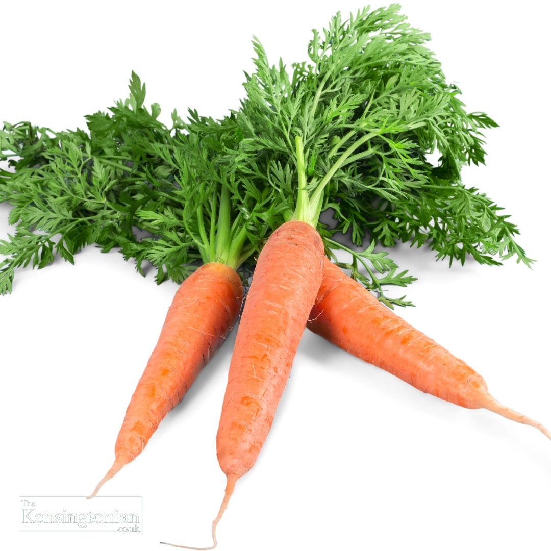 Carrot