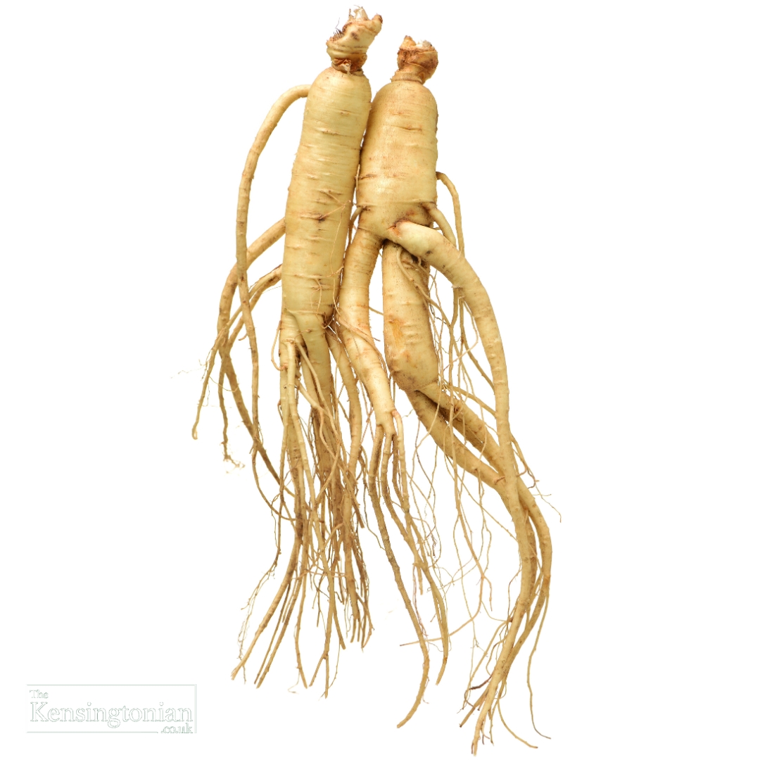 Ginseng