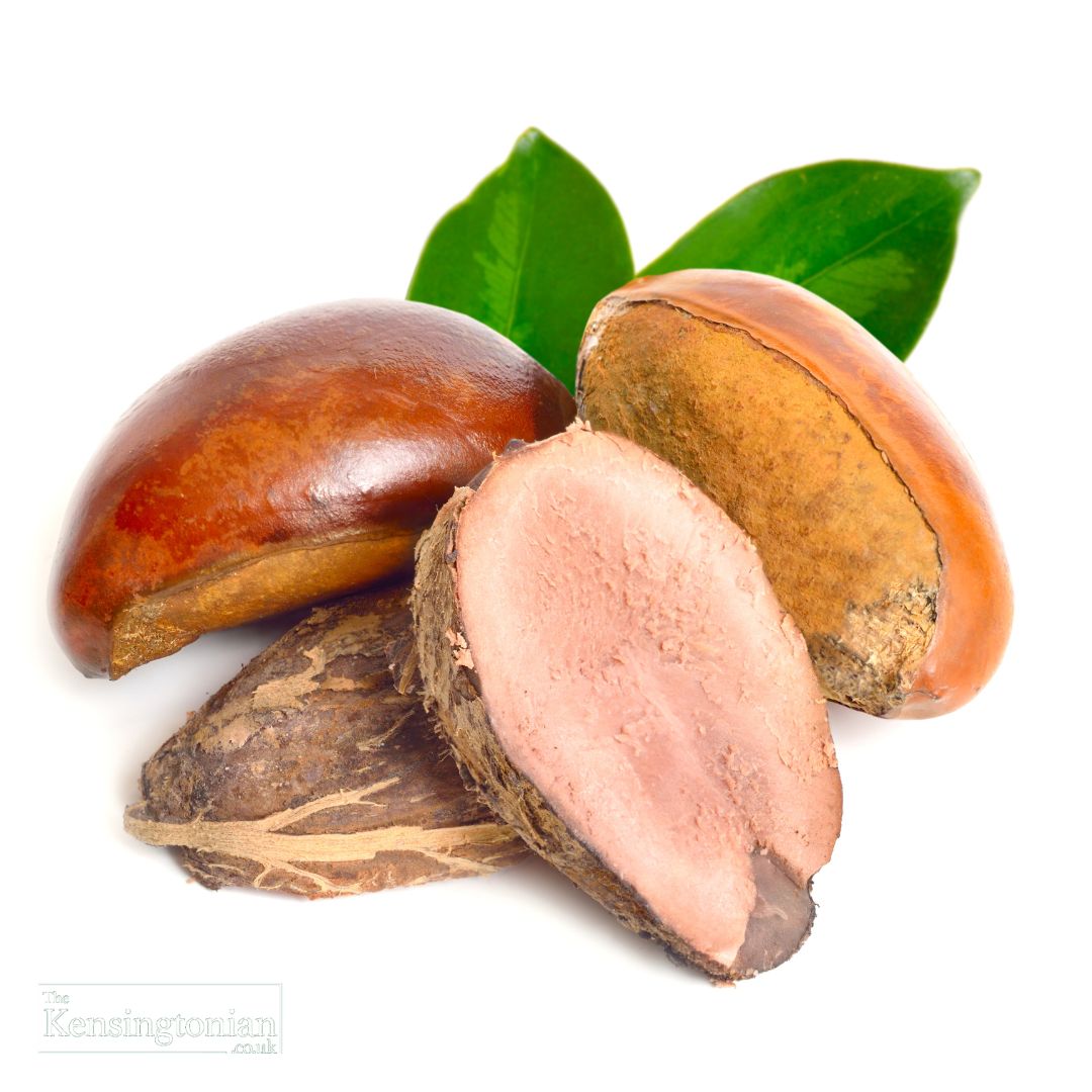 Shea butter nut