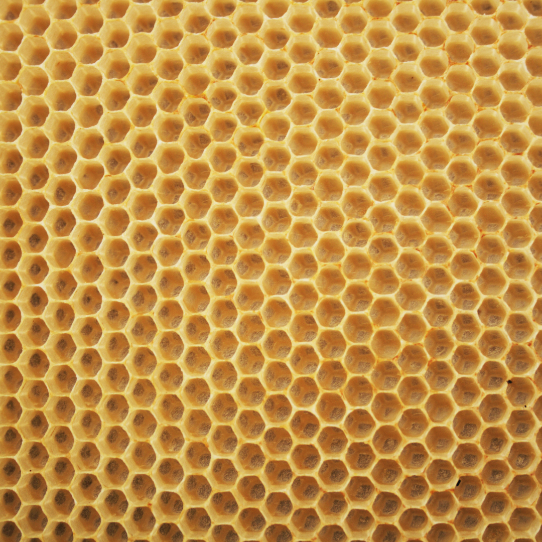 Beeswax
