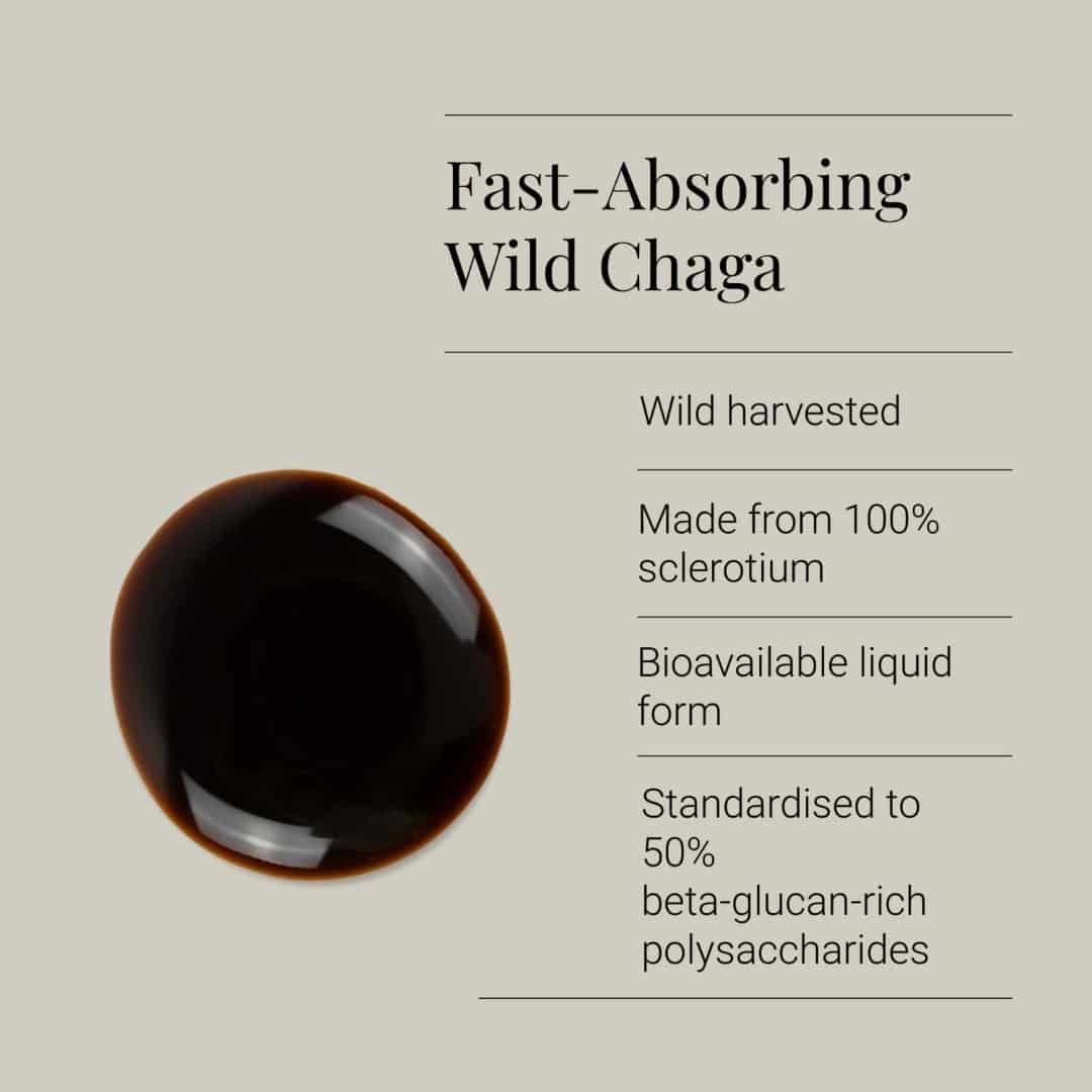 kiki health | organic chaga extract tincture | 50ml