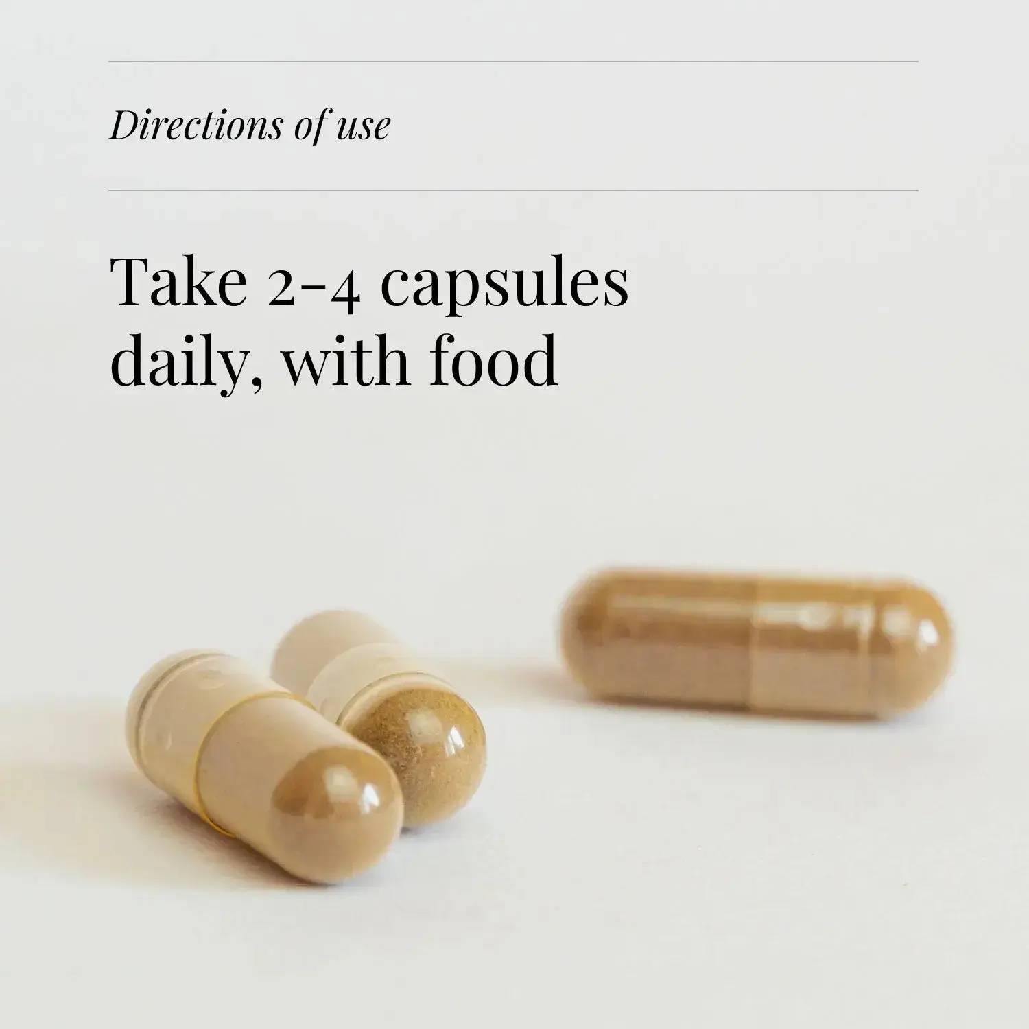 Organic Shiitake Extract | 60 Vegicaps | KIKI HEALTH - Image 3