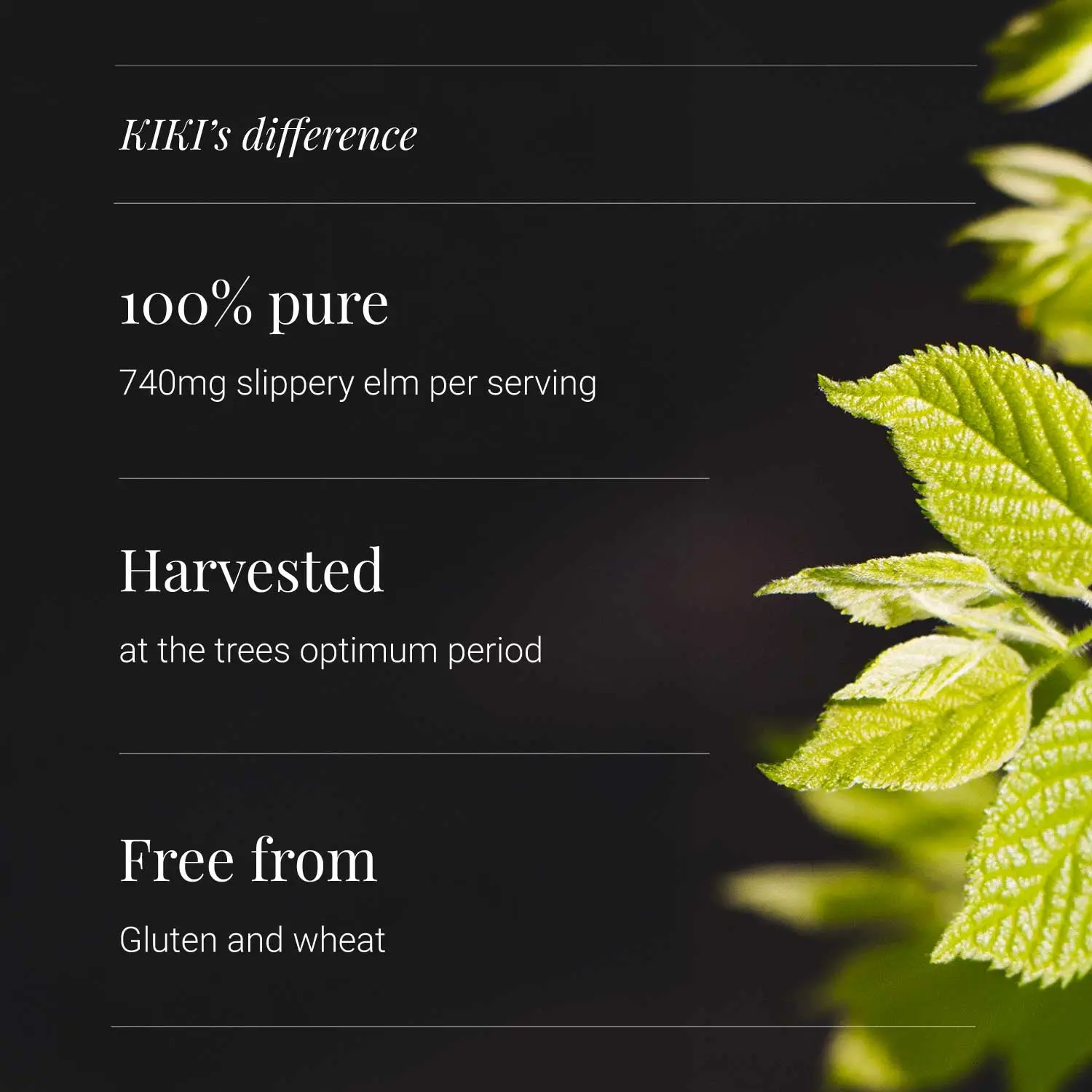 Organic Slippery Elm | 60 Vegicaps | KIKI Health - Image 3