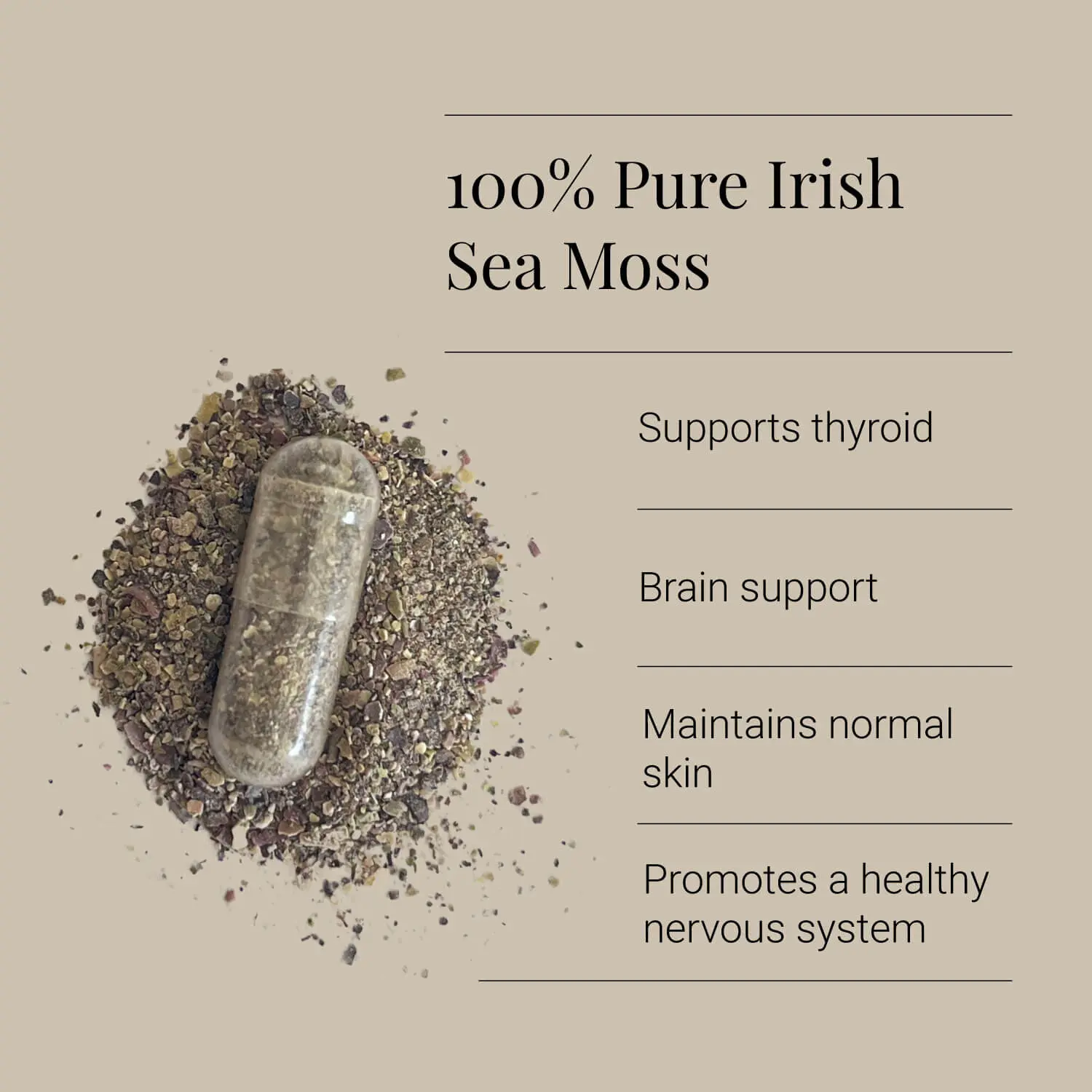 Organic Irish Sea Moss | 90 Vegicaps | KIKI HEALTH - Image 6