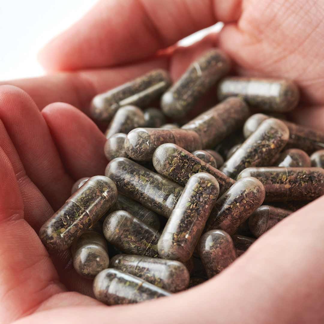 Organic Irish Sea Moss | 90 Vegicaps | KIKI HEALTH - Image 7