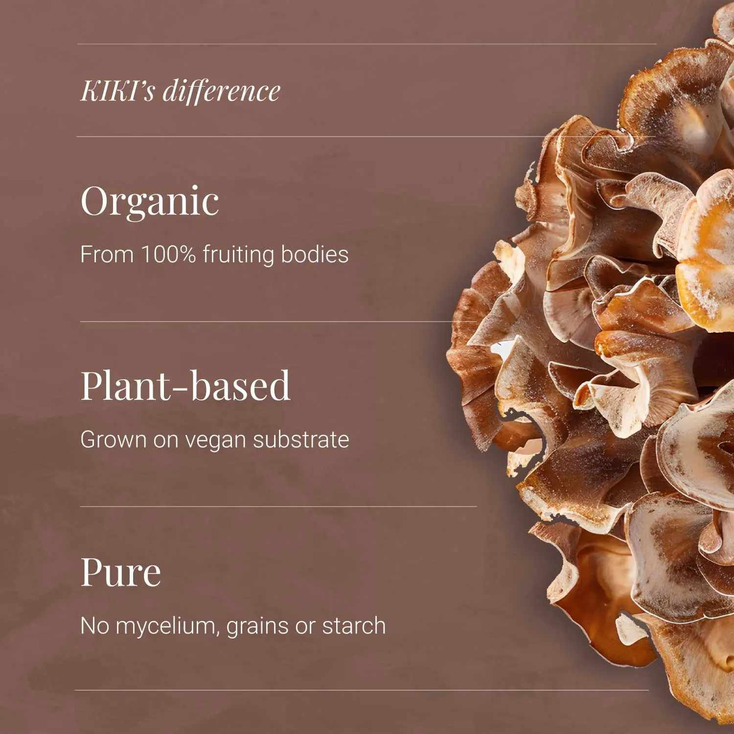 Organic Maitake Extract Powder | 50g | KIKI HEALTH - Image 5