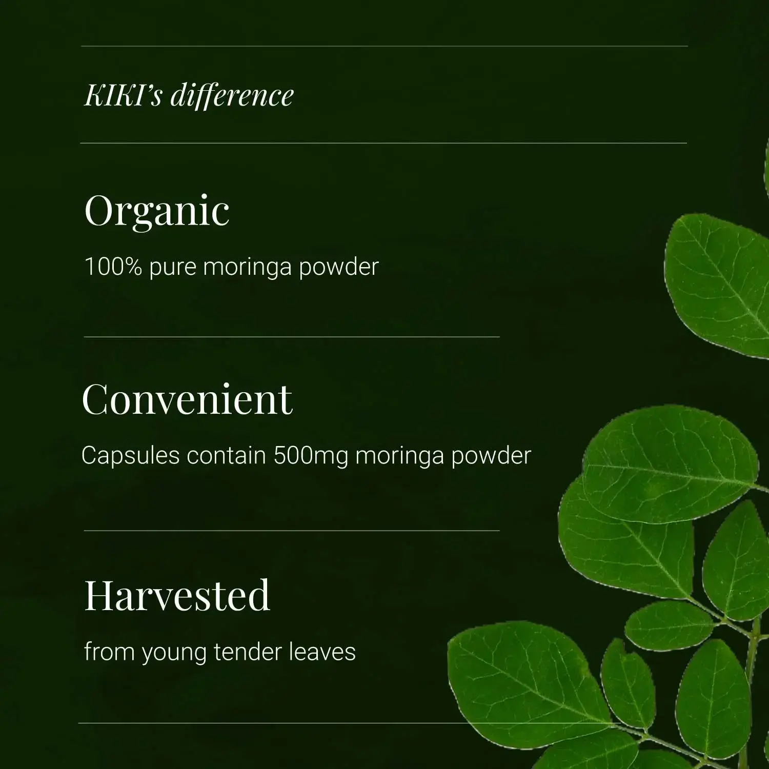 Organic Moringa Leaf | 120 Vegicaps | KIKI HEALTH - Image 5